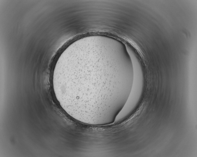 X0000114440878200911061701