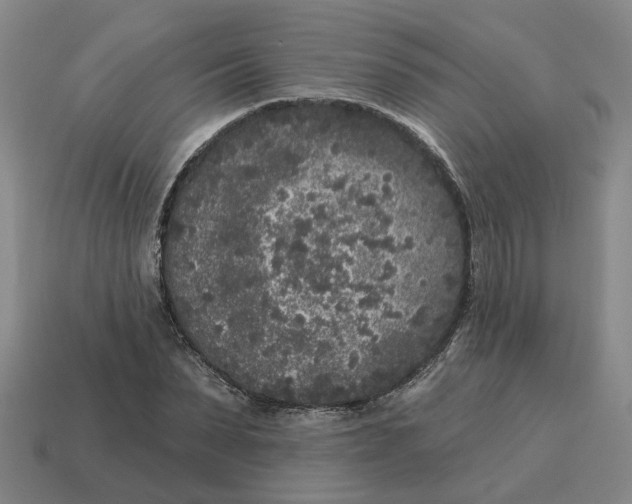 X0000114440879200911061701