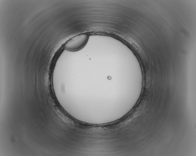 X0000114440880200911061701