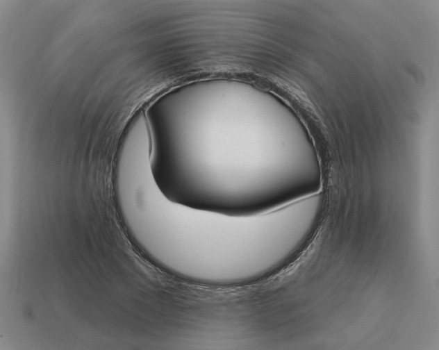 X0000114440881200911061701