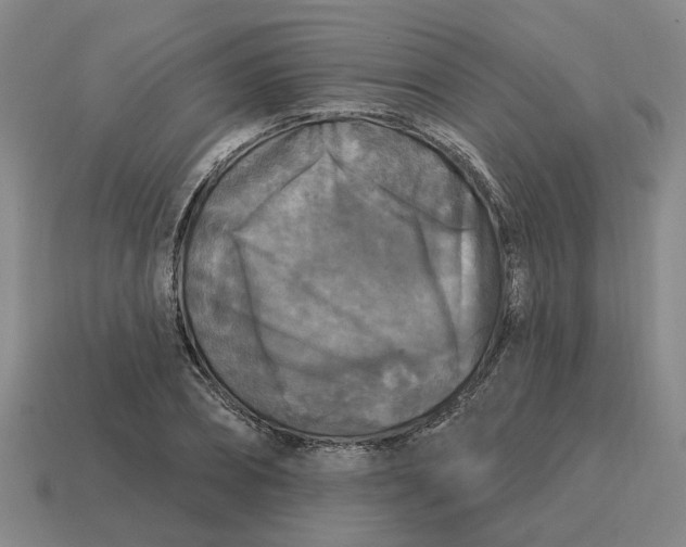 X0000114440882200911061701