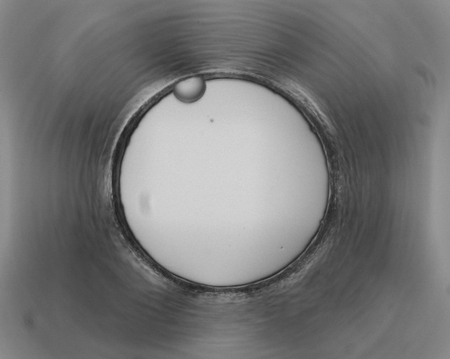 X0000114440884200911061701