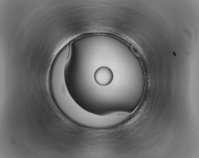 X0000114440885200911061701