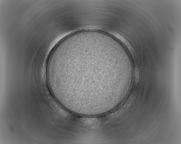 X0000114440886200911061701