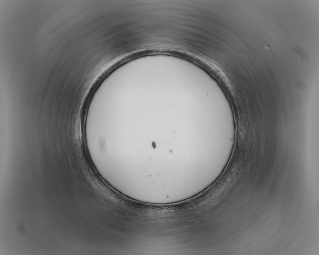 X0000114440887200911061701