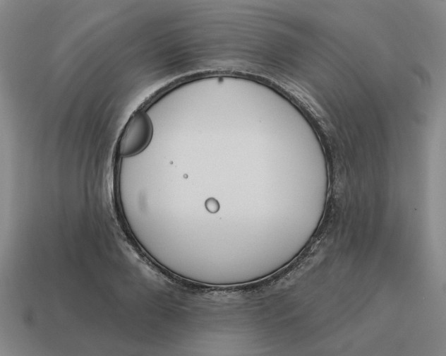 X0000114440888200911061701