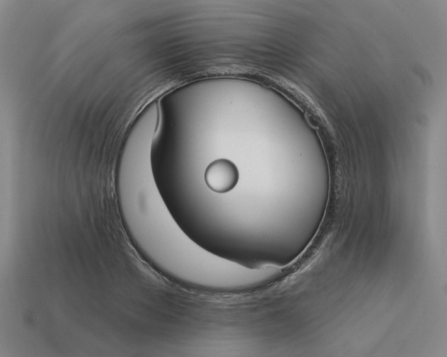 X0000114440889200911061701