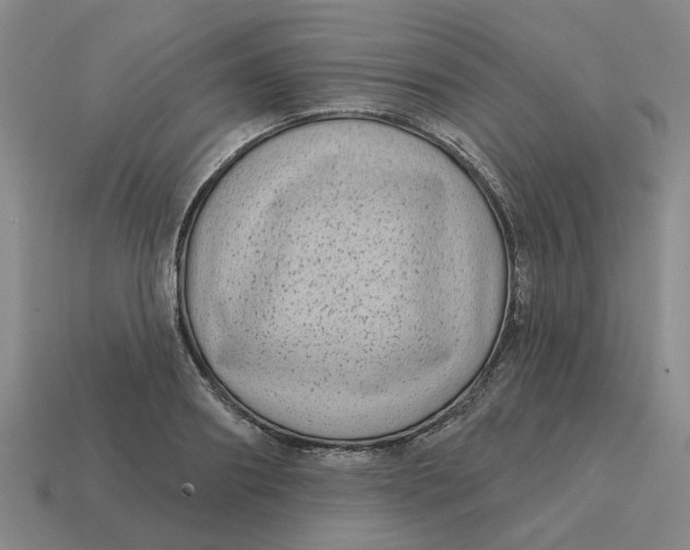 X0000114440890200911061701