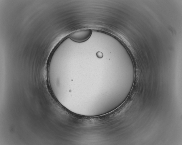 X0000114440891200911061701