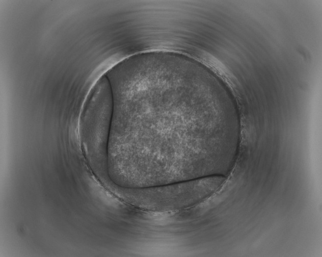 X0000114440892200911061701