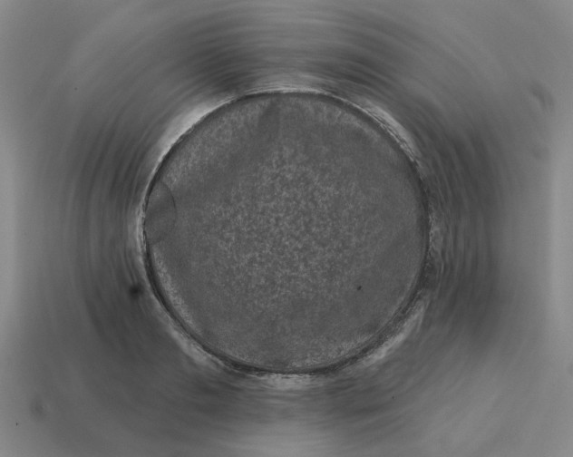 X0000114440893200911061701