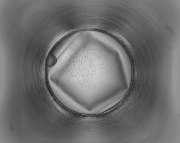 X0000114440894200911061701