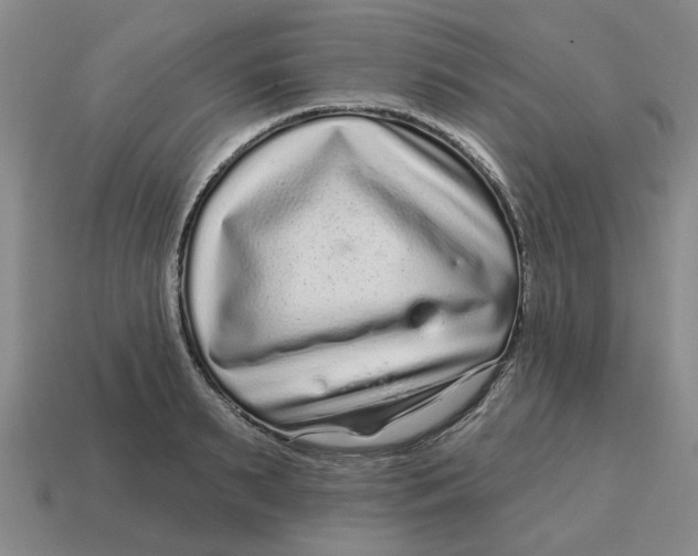 X0000114440895200911061701