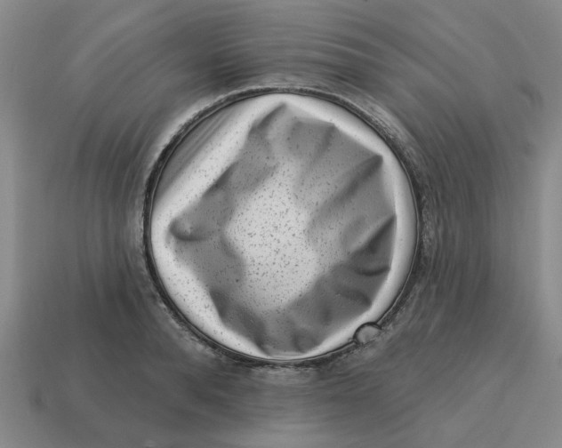 X0000114440896200911061701