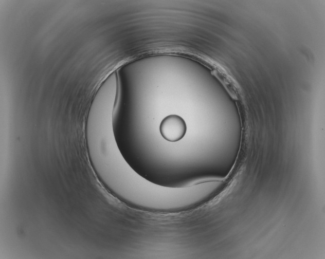 X0000114440897200911061701