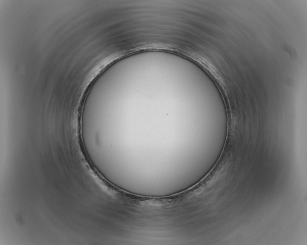 X0000114440898200911061701