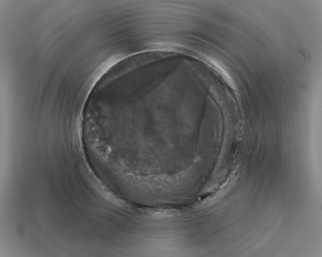 X0000114440899200911061701