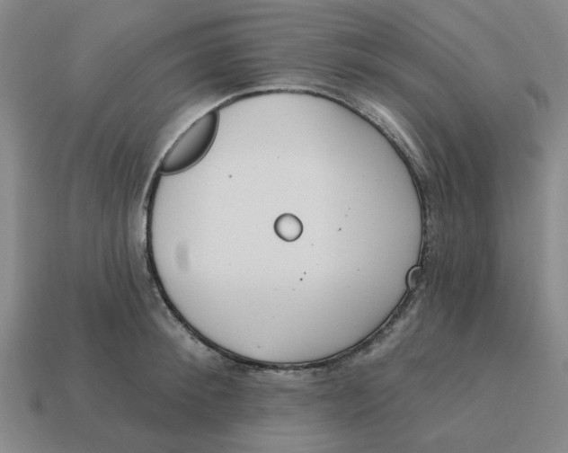 X0000114440900200911061701