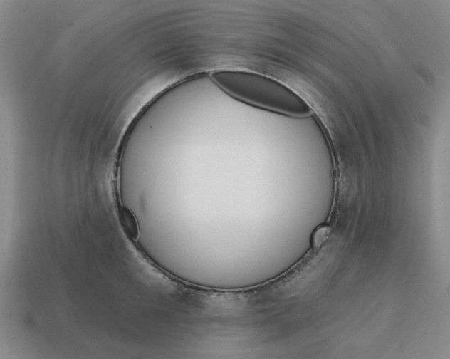 X0000114440901200911061701