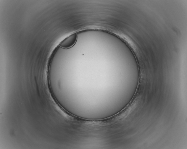 X0000114440902200911061701