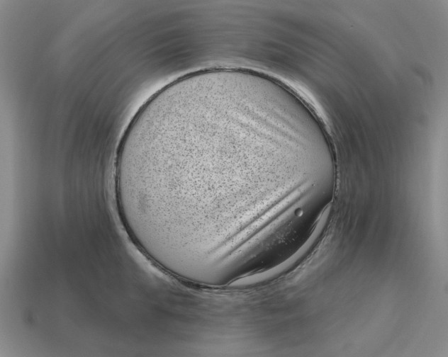 X0000114440903200911061701