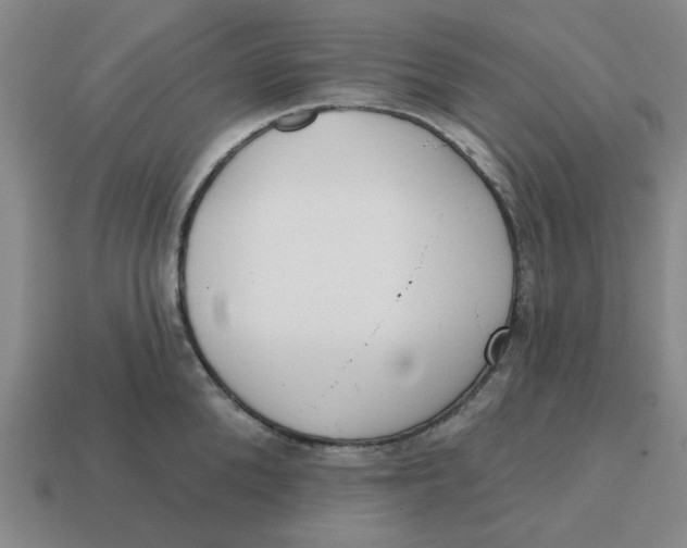 X0000114440904200911061701