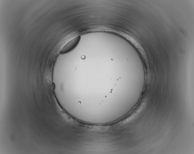 X0000114440905200911061701