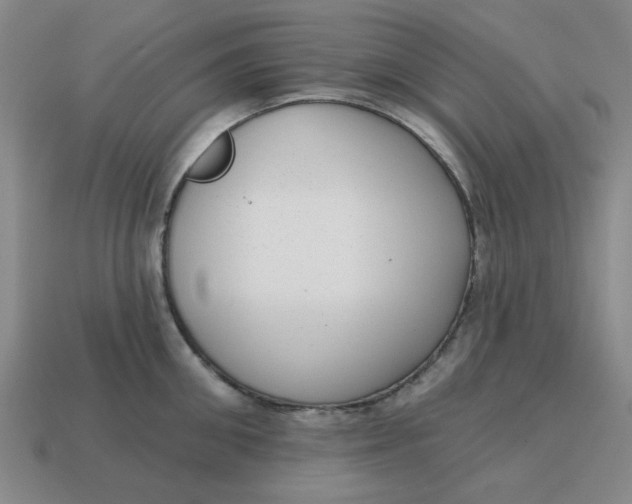 X0000114440906200911061701