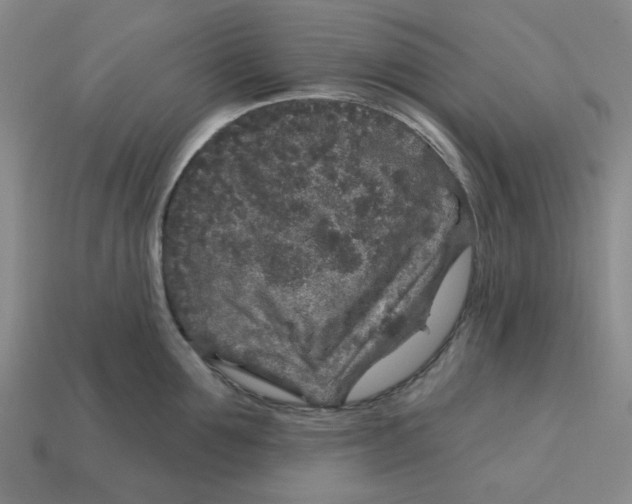 X0000114440907200911061701