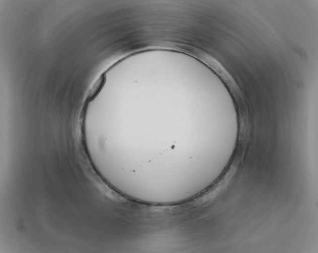 X0000114440908200911061701