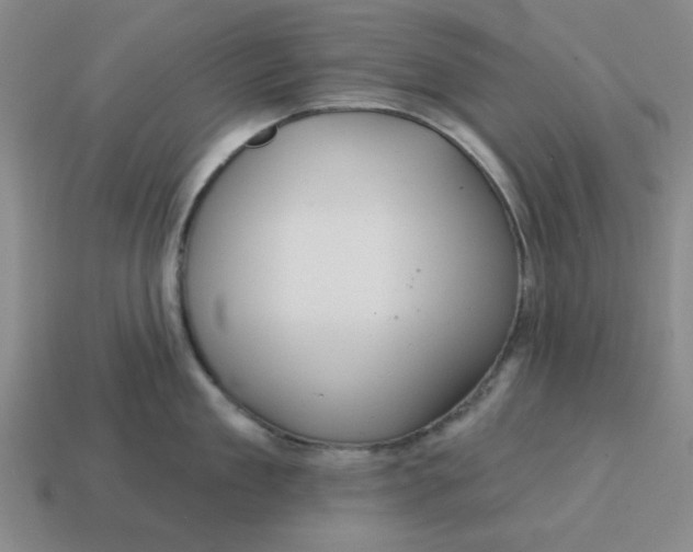 X0000114440909200911061701