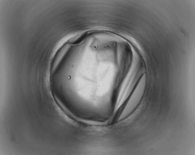 X0000114440910200911061701