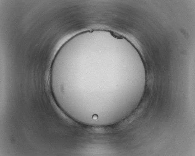 X0000114440911200911061701