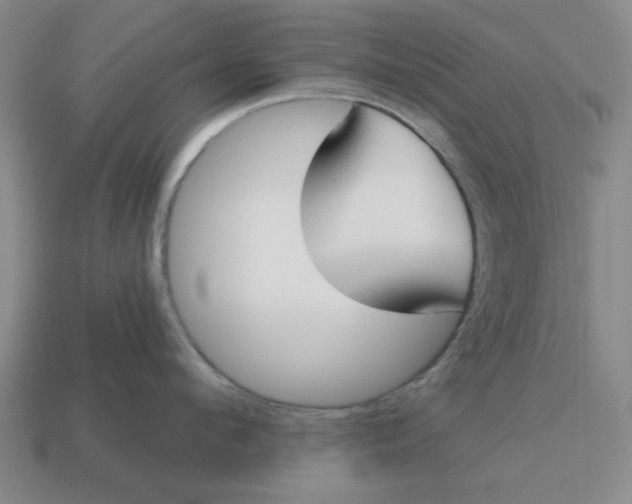 X0000114440912200911061701