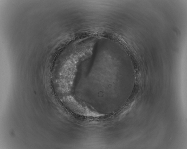 X0000114440913200911061700