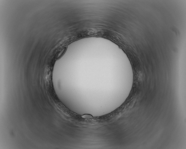 X0000114440914200911061700