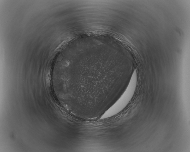 X0000114440915200911061700