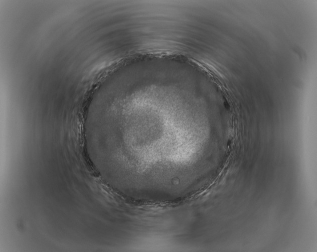 X0000114440917200911061700