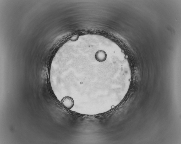 X0000114440918200911061700