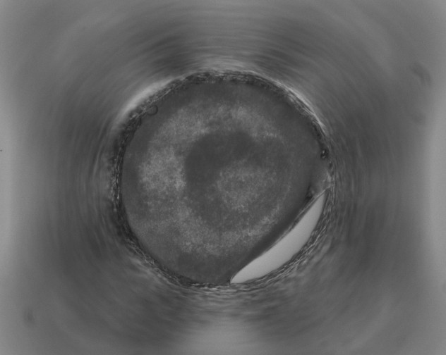 X0000114440919200911061700