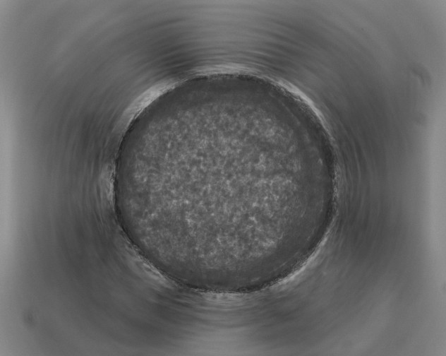 X0000114440921200911061700