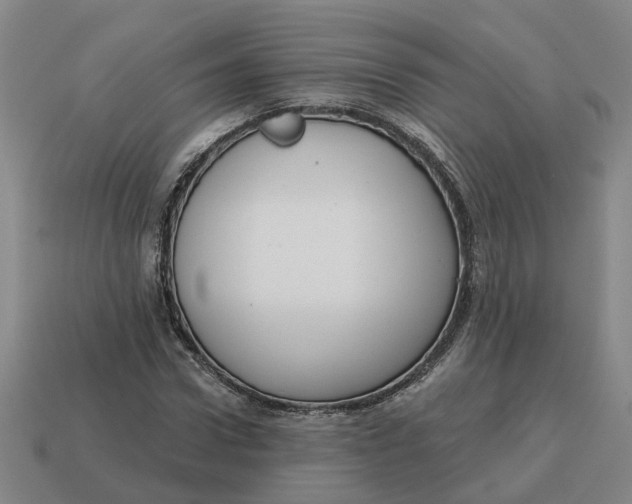 X0000114440922200911061700