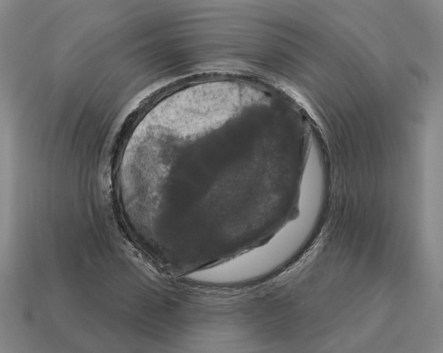 X0000114440923200911061700