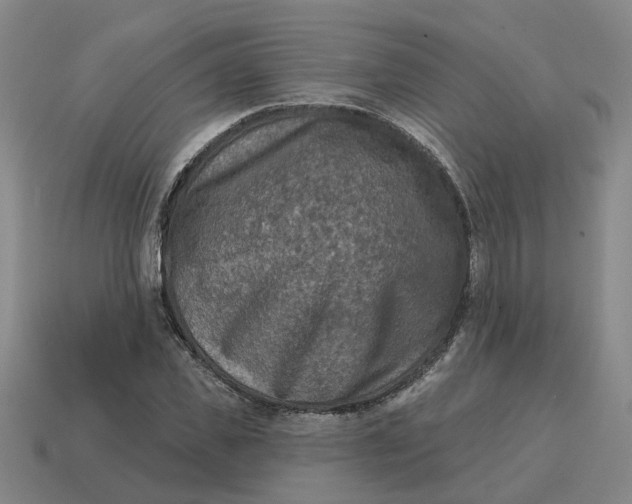 X0000114440925200911061700