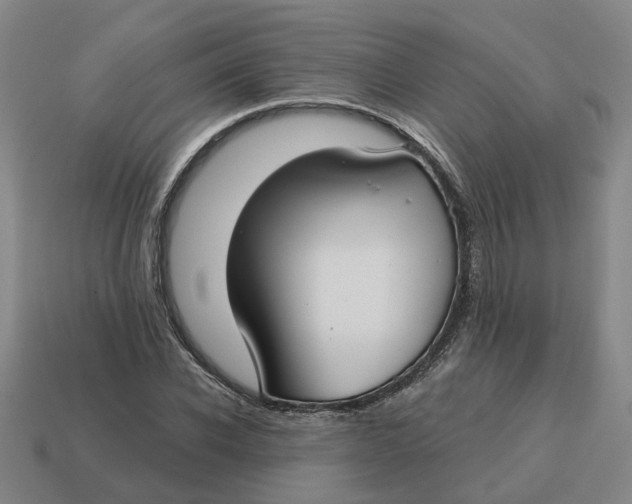 X0000114440926200911061700