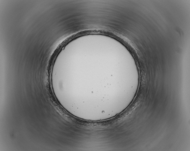 X0000114440927200911061700