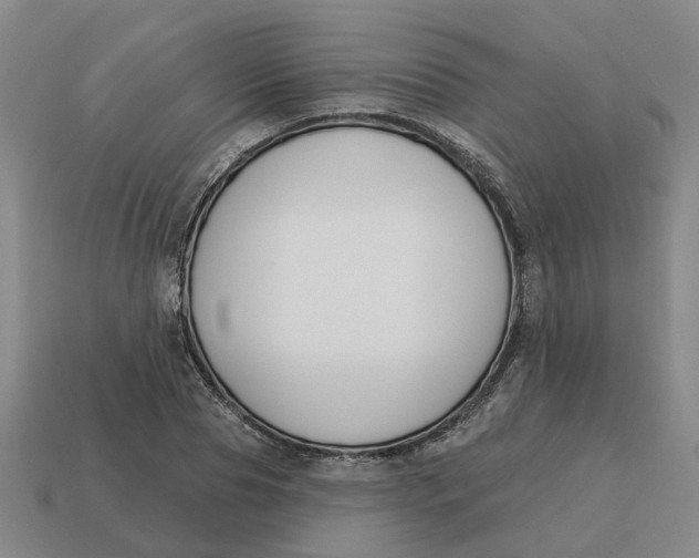 X0000114440929200911061700