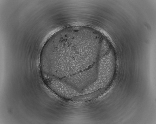 X0000114440930200911061700