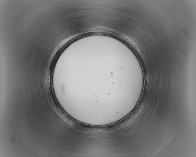 X0000114440931200911061700