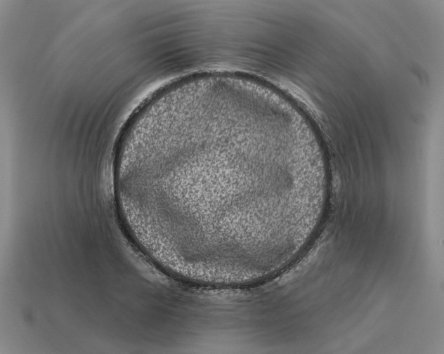 X0000114440934200911061700